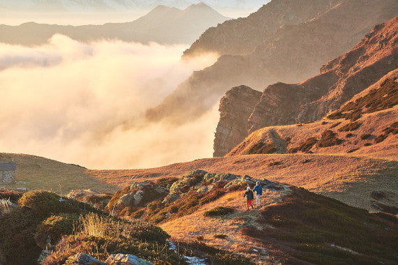 WHAT'S NEW WHAT'S HOT - NEW FALCON EVO FAMILY