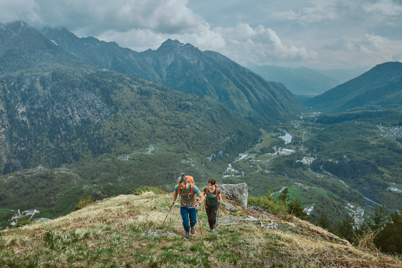 WHAT'S NEW WHAT'S HOT - NEW RADIANT FAMILY