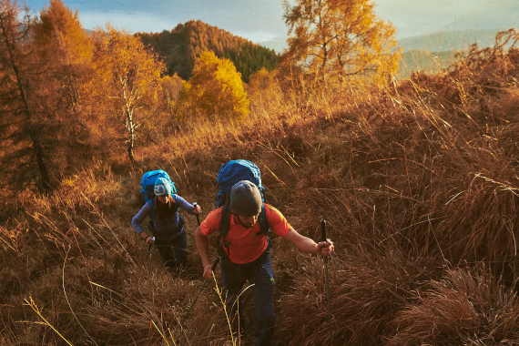 WHAT'S NEW WHAT'S HOT - NEW TAHOE GTX FAMILY